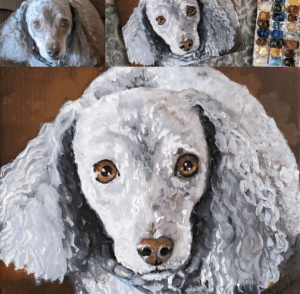 Portrait of a gray poodle with amber eyes, by Maryanne Chisholm